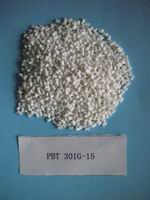 PBT ����GE 301G-15