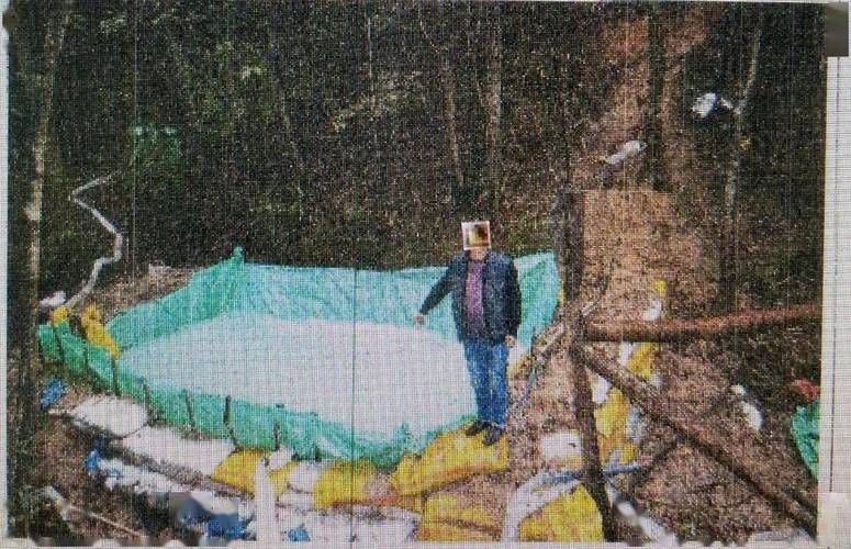美国深海非法挖稀土;美国深海非法挖稀土案件