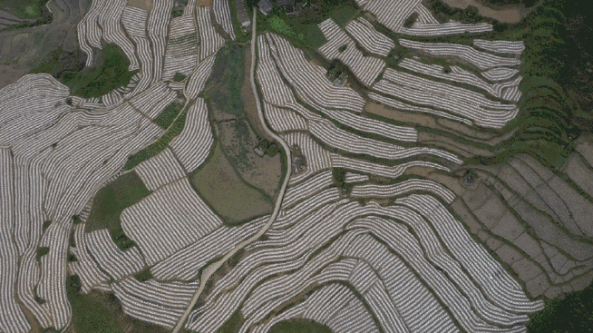 新澳2025天天正版资料和宜宾发生3.8级地震与宜宾发生3.8级地震了吗