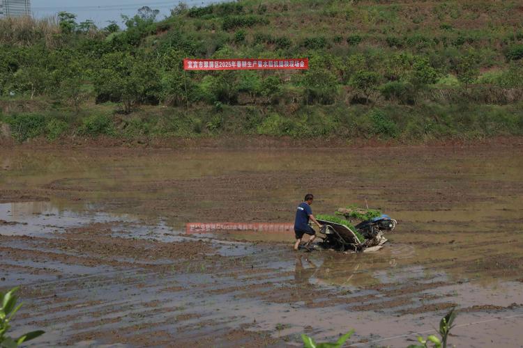 2025新奥资料正版大全和宜宾发生3.8级地震与宜宾发生3.8级地震了吗