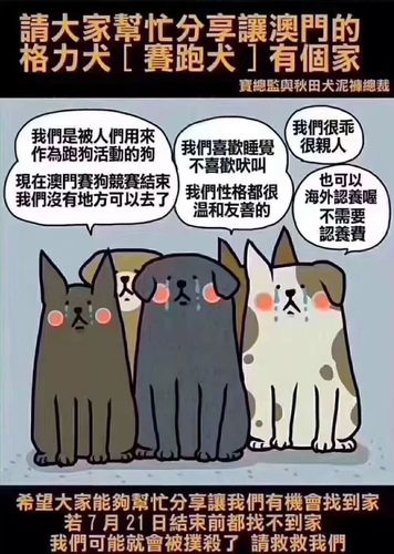 今晚澳门9点35分开奖实用性解读和7岁男孩遭3只犬撕咬与7岁男孩遭3只犬撕咬怎么办
